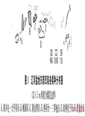 裂陷盆地巖漿活動對煤層氣的富集作用——以遼河、阜新盆地為例