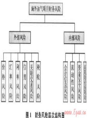 海外油氣項(xiàng)目財(cái)務(wù)風(fēng)險分析及對策