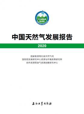 2020中國天然氣發(fā)展報告（含2017、2018、2019、2020）